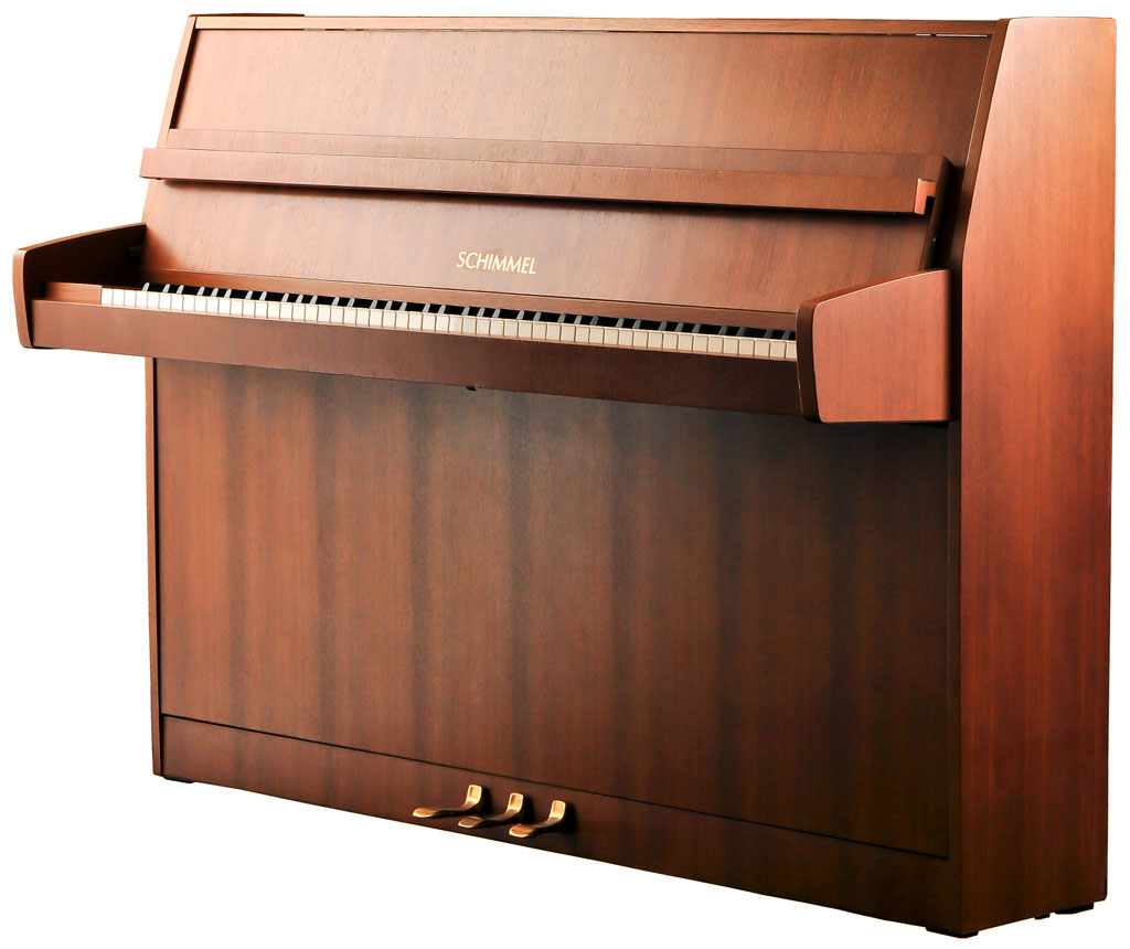 Schimmel